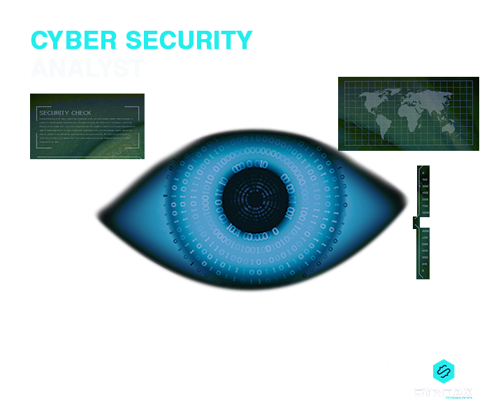 cyber security analyst