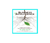 Business Unintelligence: Insight and Innovation beyond Analytics and Big Data