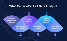 What To You Do as a Data Analyst