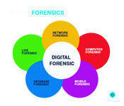 digital forensics skills