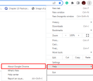 How to Install and Configure ChromeDriver on Windows