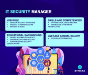 it security manager
