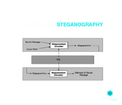 Process of Steganography
