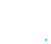 QlikView